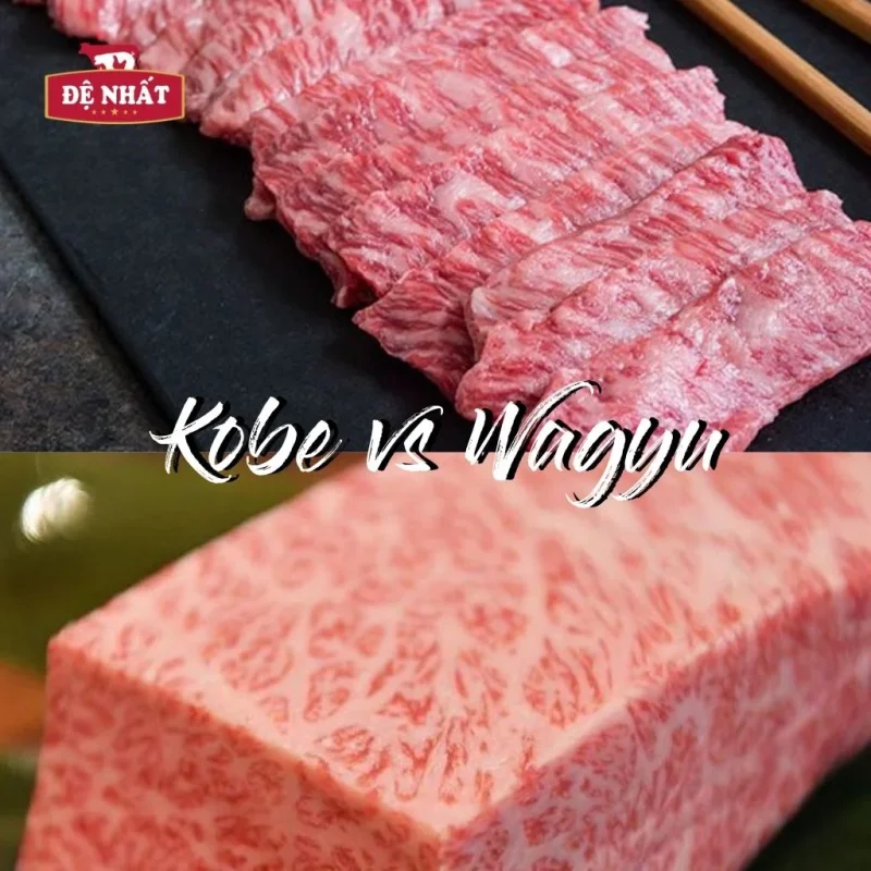Bò Kobe là một trong những loại thịt bò cao cấp được nhiều thực khách yêu thích