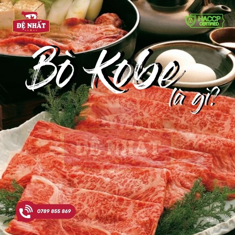 Bò Kobe là gì? Có gì ngon mà lại được nhiều người yêu thích