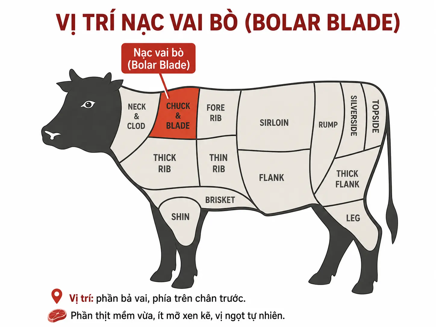 Vị trí nạc vai bò nhập khẩu