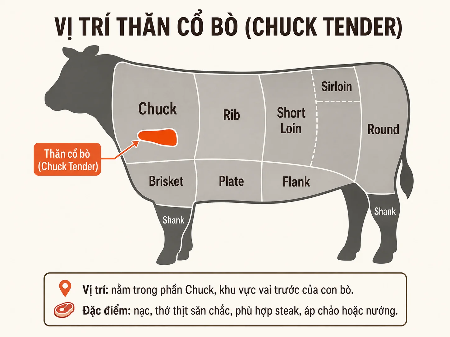 Vị trí thăn cổ bò Chuck tender