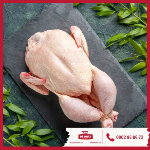 Gà dai Hàn Quốc 1