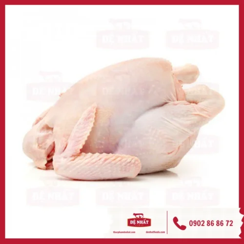 Hình ảnh gà dai Hàn Quốc